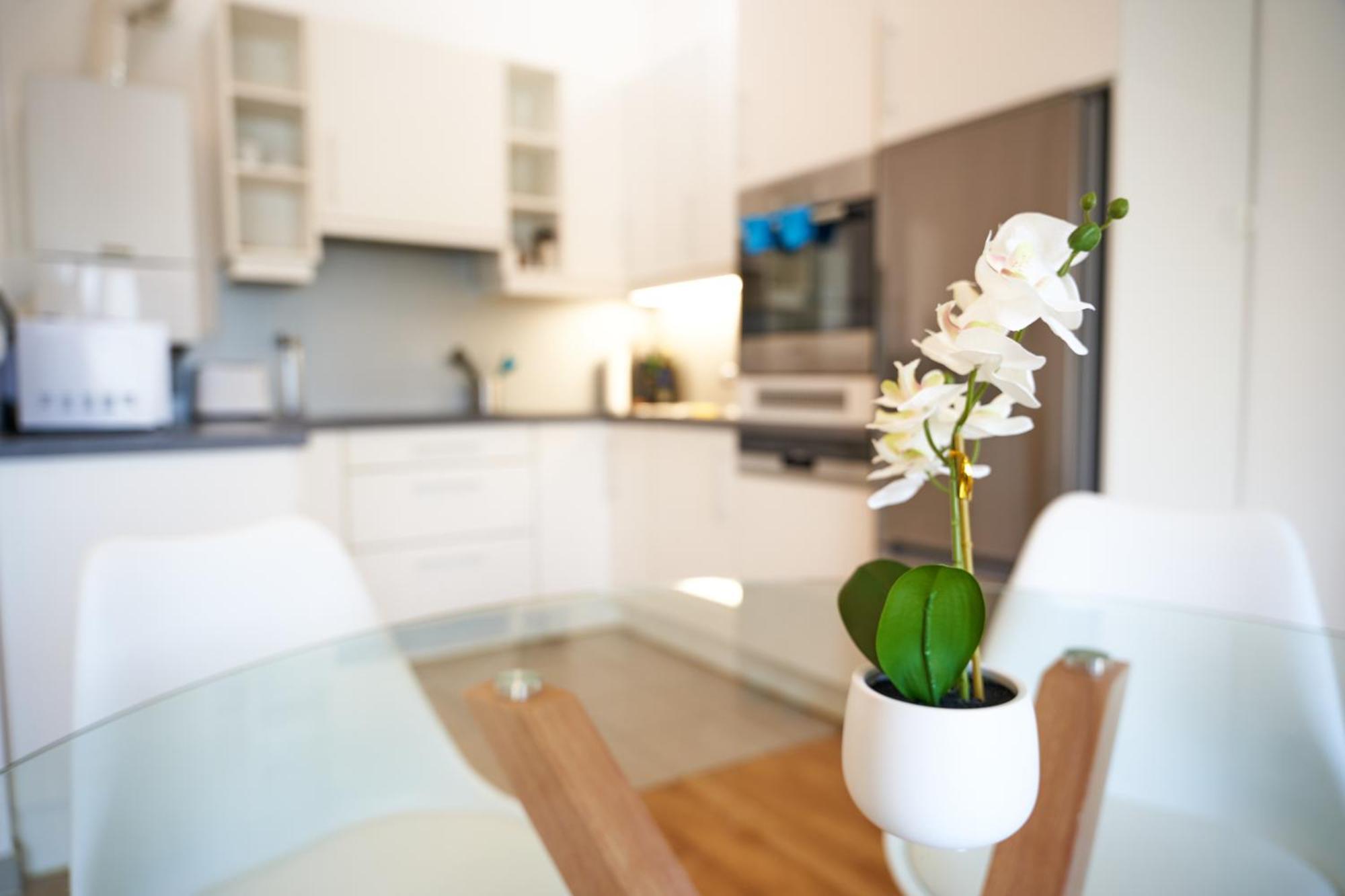 Trendy Apartment Zentral Gelegen Viyana Dış mekan fotoğraf